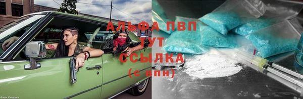 прущие крисы Вязьма