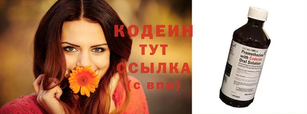 стафф Вяземский