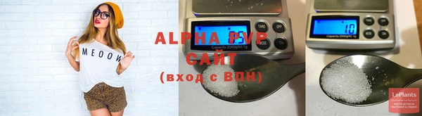 стафф Вяземский
