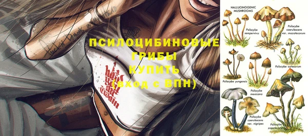 прущие крисы Вязьма