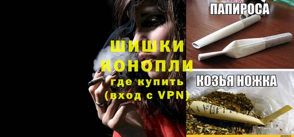 стафф Вяземский