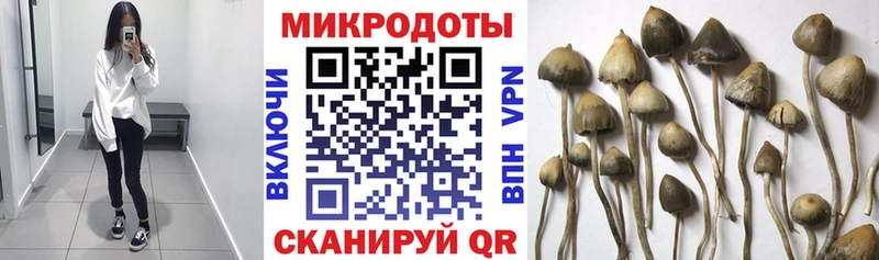 Галлюциногенные грибы ЛСД  это Telegram  Шали 